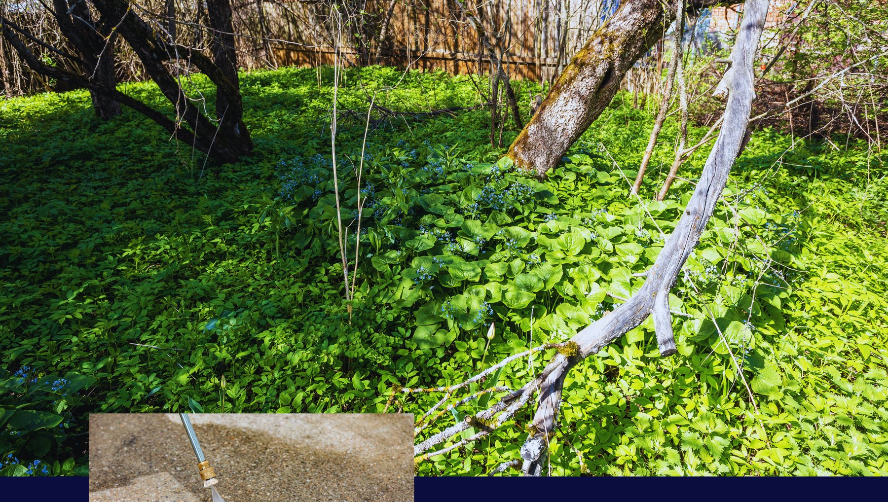 Landscaped yard cleanup and exterior maintenance